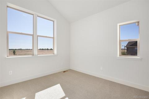 5905 Hanover, Denver, CO 80238 photo 24