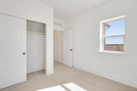 5905 Hanover, Denver, CO 80238 photo 22