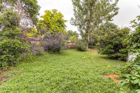 4465 S Wright St, Morrison, CO 80465 photo 24