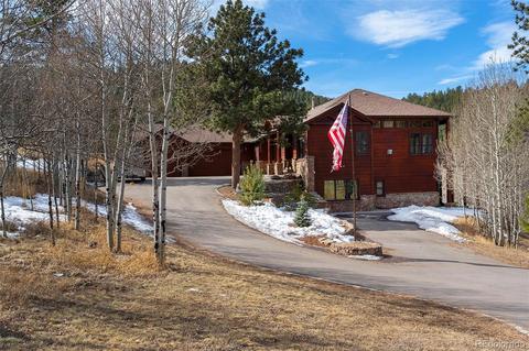 450 Roland, Bailey, CO 80421 photo 3