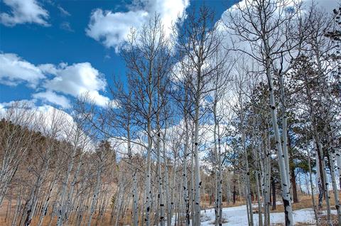 450 Roland, Bailey, CO 80421 photo 40
