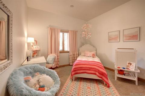 450 Roland, Bailey, CO 80421 photo 26