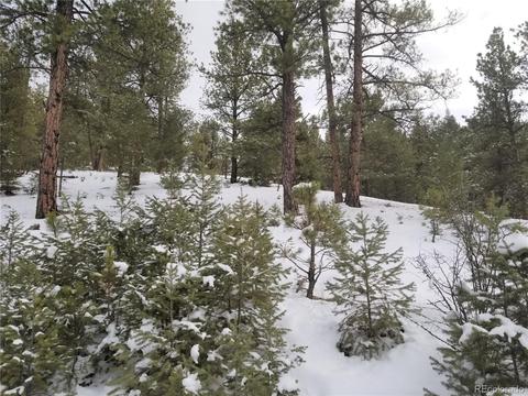 29232 Crystal Ridge Rd, Pine, CO 80470 photo 1