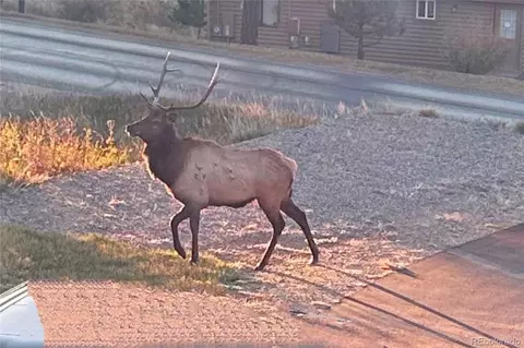 Other - 829 County Road 72, Bailey, CO 80421 photo 12 of 13