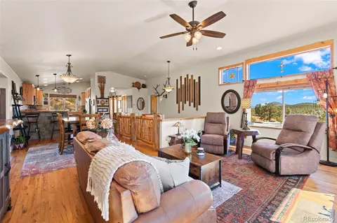 Living - 829 County Road 72, Bailey, CO 80421 photo 2 of 2