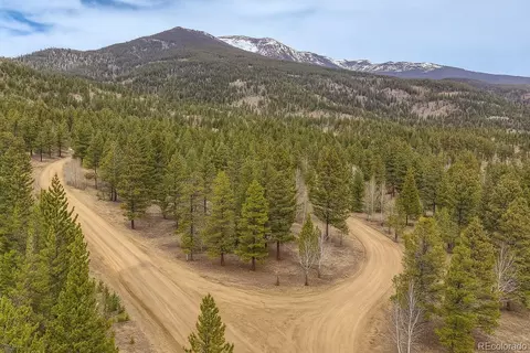 30406 National Forest Dr, Buena Vista, CO 81211