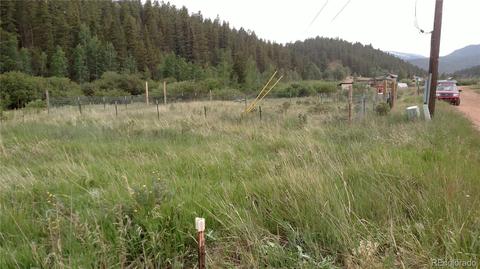 98 Bishop Rd, Bailey, CO 80421 photo 6