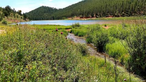98 Bishop Rd, Bailey, CO 80421 photo 11