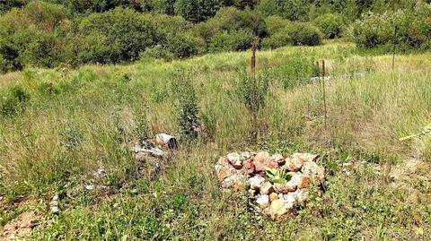 98 Bishop Rd, Bailey, CO 80421 photo 34