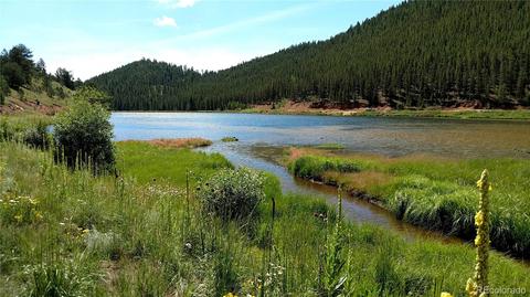 98 Bishop Rd, Bailey, CO 80421 photo 9
