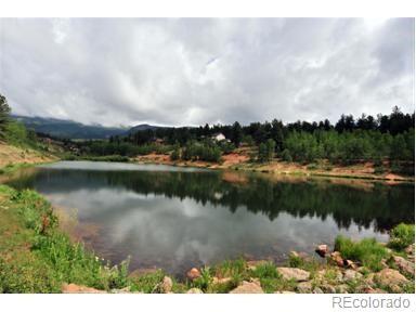 98 Bishop Rd, Bailey, CO 80421 photo 28