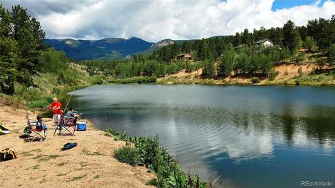98 Bishop Rd, Bailey, CO 80421 photo 12