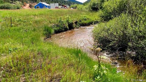 98 Bishop Rd, Bailey, CO 80421 photo 1