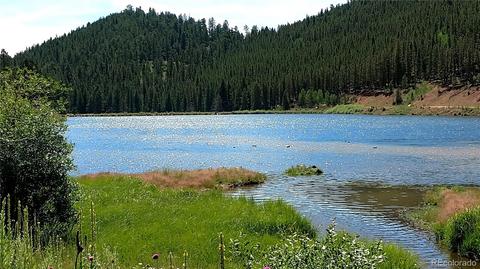 98 Bishop Rd, Bailey, CO 80421 photo 10