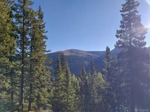 1062 Roberts Rd, Alma, CO 80420