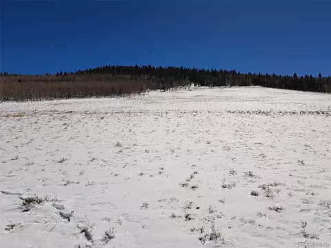00 Jicarilla Trl, Hartsel, CO 80449