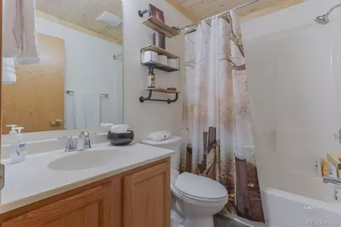 Bath - 1850 Cody Park Rd, Cotopaxi, CO 81223 photo 2 of 3