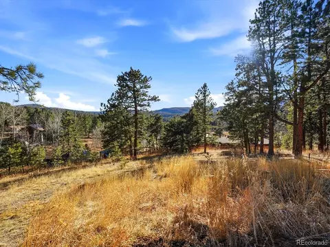 Other - 9808 Fallen Rock Rd, Conifer, CO 80433 photo 7 of 8