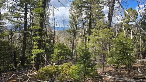 lot5261 Scott Rd, Fort Garland, CO 81133