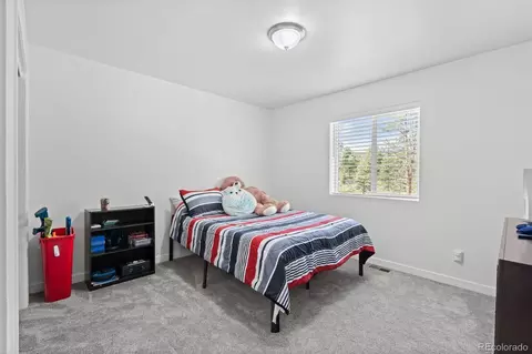125 Sun Way, Bailey, CO 80421 photo 27