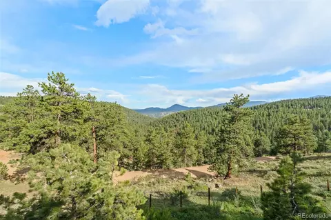 125 Sun Way, Bailey, CO 80421 photo 37