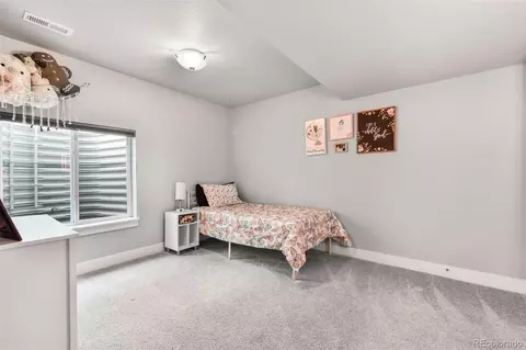 Other - 2115 Coyote Mint Dr, Monument, CO 80132 photo 15 of 15