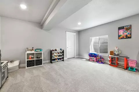 Other - 2115 Coyote Mint Dr, Monument, CO 80132 photo 10 of 15