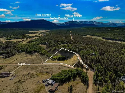 1430 Coil Dr, Fairplay, CO 80440