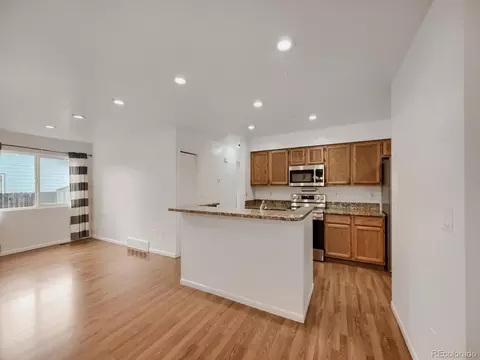 Living - 740 Beth Ave, Fort Lupton, CO 80621 photo 4 of 4