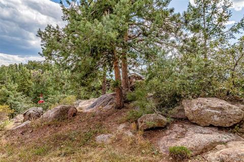 21488 Alta Dr, Morrison, CO 80465 photo 35