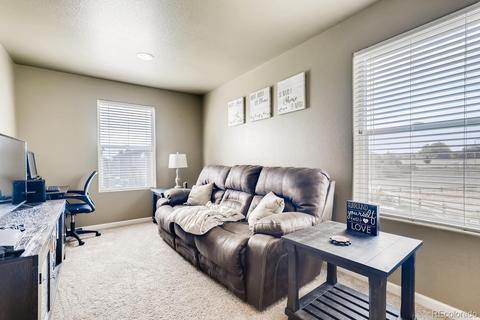 4212 E 95th Cir, Thornton, CO 80229 photo 22