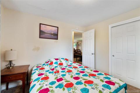 4672 Everett Ct, Wheat Ridge, CO 80033 photo 13