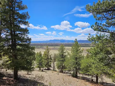 Bonell Drive, Fairplay, CO 80440