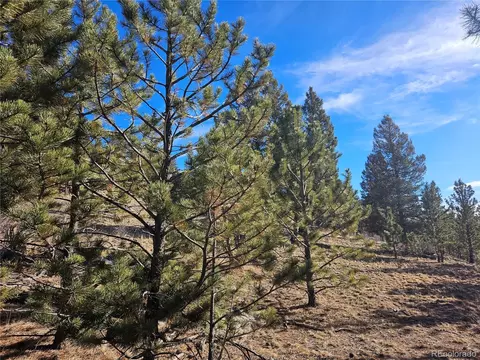 Bonell Drive, Fairplay, CO 80440 photo 19