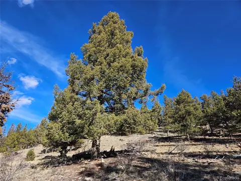Bonell Drive, Fairplay, CO 80440 photo 10