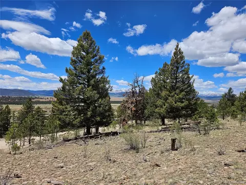 Bonell Drive, Fairplay, CO 80440 photo 45
