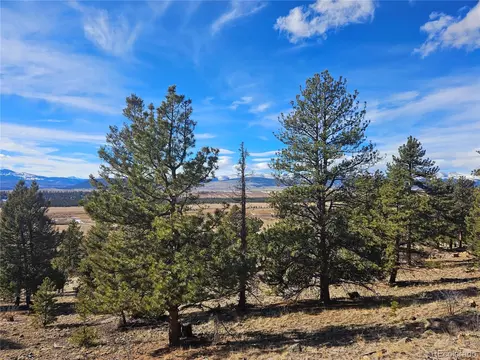 Bonell Drive, Fairplay, CO 80440 photo 28