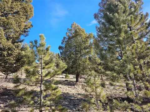 Bonell Drive, Fairplay, CO 80440 photo 6