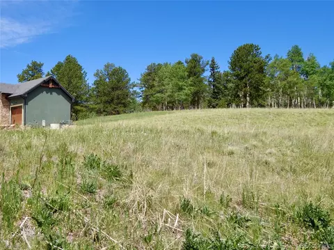307 Pinaceae Hts, Divide, CO 80814 photo 2