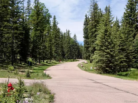 307 Pinaceae Hts, Divide, CO 80814 photo 7