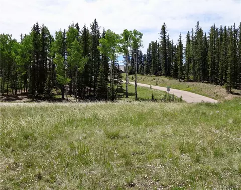 307 Pinaceae Hts, Divide, CO 80814 photo 6