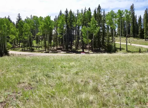 307 Pinaceae Hts, Divide, CO 80814 photo 5
