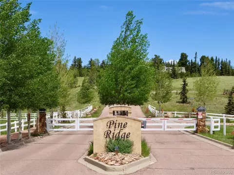 307 Pinaceae Hts, Divide, CO 80814 photo 8