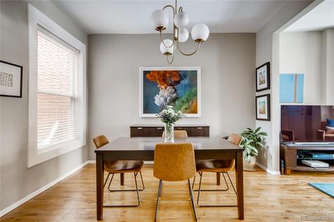 1029 E 13th Ave, Denver, CO 80218 photo 11