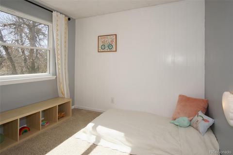 3 Moline St, Aurora, CO 80010 photo 17