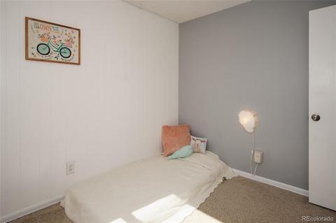 3 Moline St, Aurora, CO 80010 photo 19