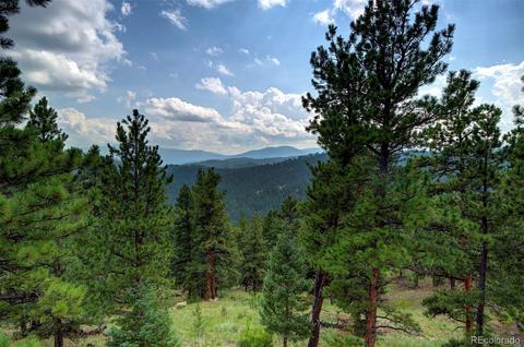 34920 Whispering Pines Trl, Pine, CO 80470 photo 16