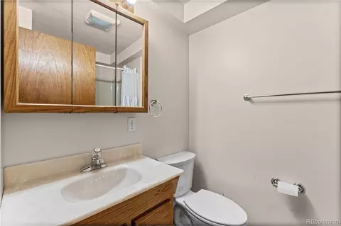 Bath - 602 Bristlecone Ct, Berthoud, CO 80513 photo 4 of 4