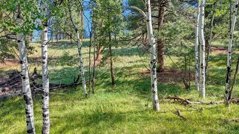 91 Antelope Cir, Florissant, CO 80816