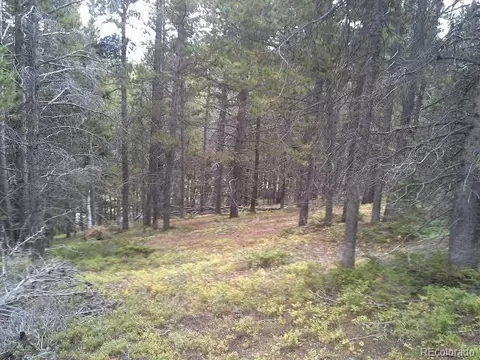 00 Glory Hole Rd, Idaho Springs, CO 80452